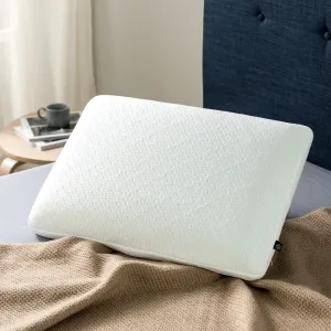 Memory Foam Pillow with Travel Pouch